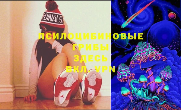 сатива Вязьма