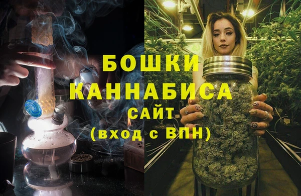 сатива Вязьма
