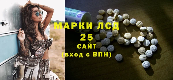 ПСИЛОЦИБИНОВЫЕ ГРИБЫ Строитель