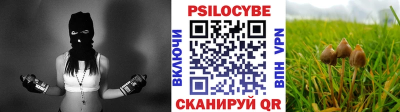 как найти   Екатеринбург  Галлюциногенные грибы Psilocybine cubensis 