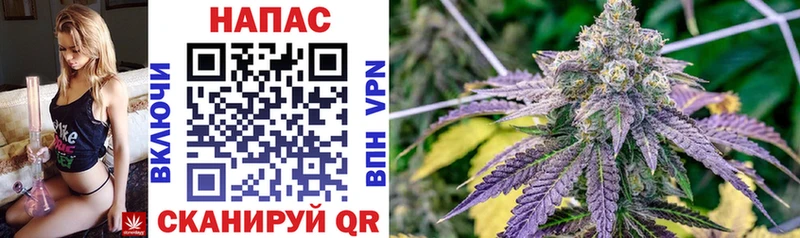 где купить наркоту Екатеринбург OMG Бошки Шишки SATIVA & INDICA